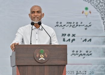 ތޮއްޑުއަށް ސީޕްލޭންގެ ދަތުރުތައް ފެބްރުއަރީ މަހު ފަށަނީ