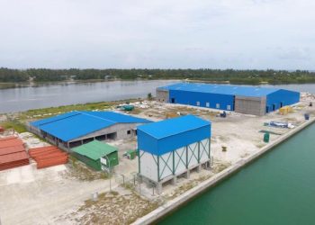 އައްޑޫން މަސް އެކްސްޕޯޓް ކުރުމުގެ މަސައްކަތް ފަށަން މިފްކޯއިން ތައްޔާރުވަނީ