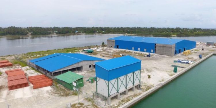 އައްޑޫން މަސް އެކްސްޕޯޓް ކުރުމުގެ މަސައްކަތް ފަށަން މިފްކޯއިން ތައްޔާރުވަނީ