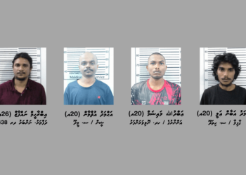 ޑްރަގު ނެޓްވޯކެއް ނިލަންދޫން އަތުލައިގެންފި