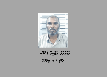 ބިލެތްދުއަށް މަސްތުވާތަކެތި އެތެރެކުރަން އުޅުނުކަމުގެ ތުހުމަތުގައި ދިވެއްސަކު ހައްޔަރުކޮށްފި