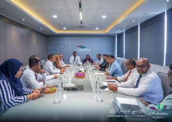 އައްޑު ކަރަންޓުގެ މައްސަލައަށް ދާއިމީ ހައްލު ހޯދައިދިނުމަށް މަސައްކަތް ކުރަމުން އަންނަ ކަމަށް ބުނެފި