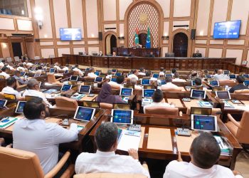 ފޭކު މުދާ އެތެރެކުރުން ހުއްޓުވުމަށް ’ޓްރޭޑްމާކް‘ ބިލު މަޖިލީހުން ފާސްކޮށްފި