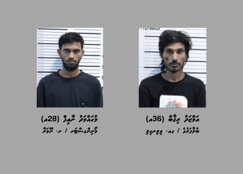 ގިނަ އަދަދެއްގެ މަސްތުވާތަކެއްޗާއެކު މާލެއިން ދެ މީހަކު ހައްޔަރުކޮށްފި