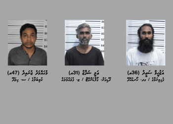 އޮޅުވާލައިގެން ފައިސާ ހޯދި މައްސަލަތަކެއްގައި ތިން މީހަކު ހައްޔަރުކޮށްފި