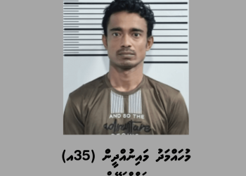 ހިމަންދުއަށް މަސްތުވާތަކެތި އެތެރެކުރި ބިދޭސީއަކު ފުލުހުންގެ ބެލުމުގެ ދަށަށް