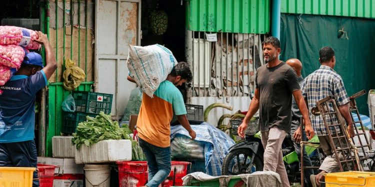 ހޫނުމިން މައްޗަށް ދާތީ ރައްކާތެރިކަމުގެ ފިޔަވަޅުތައް އެޅުމަށް އެޗްޕީއޭއިން އިލްތިމާސްކޮށްފި