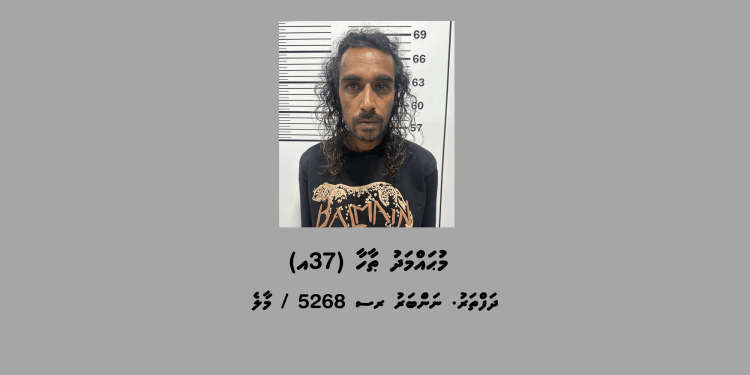 މަސްތުވާތަކެތި ގެންގުޅުނުކަމުގެ ތުހުމަތުގައި ހުޅުމާލެއިން މީހަކު ހައްޔަރުކޮށްފި