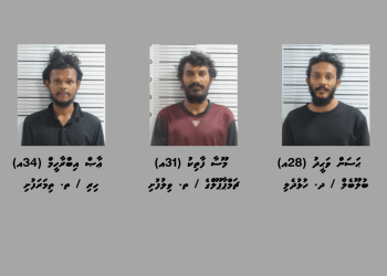 ވިލުފުށިން މަސްތުވާތަކެއްޗާއެކު ތިން މީހަކު ހައްޔަރުކޮށްފި