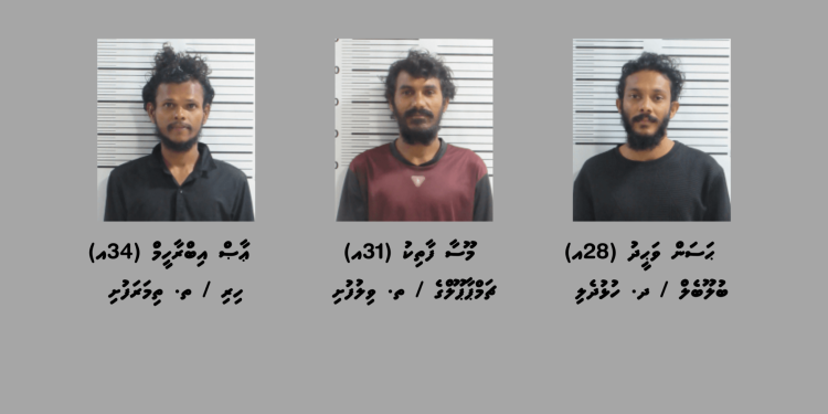 ވިލުފުށިން މަސްތުވާތަކެއްޗާއެކު ތިން މީހަކު ހައްޔަރުކޮށްފި