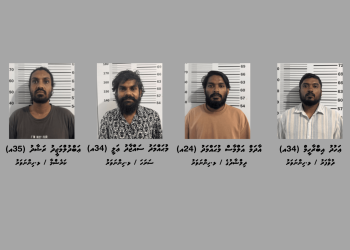 ޅ. ހިންނަވަރުގައި މަސްތުވާތަކެތީގެ ވިޔަފާރިކުރާ ބަޔަކު އަތުލައިގަނެފި