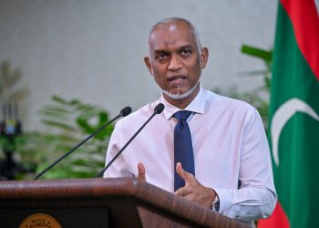 ޑީބީއެމްގެ ހިއްސާ ވިއްކާލި ވާހަކަ އަކީ ދޮގެއް: ރައީސް