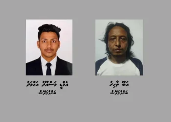 ބޮޑުއަގުގައި ޑޮލަރު މާރުކުރި ދެ ބިދޭސީއަކު އިމިގްރޭޝަންގެ ބެލުމުގެ ދަށަށް