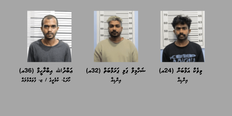ތިން ކިލޯގެ ޑްރަގް އެތެރެކުރަން އުޅުނު ތިން މީހަކު ހައްޔަރުކޮށްފި