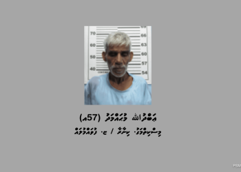 ފުވައްމުލަކަށް މަސްތުވާތަކެތި އެތެރެކުރަން އުޅުނު މީހަކު ހައްޔަރުކޮށްފި
